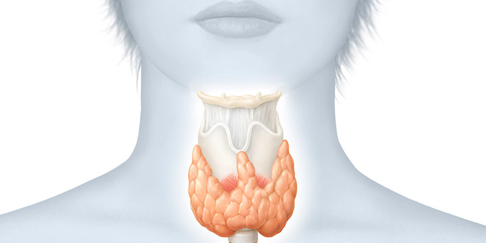 Cicatrice de thyroïdectomie à 1 jour